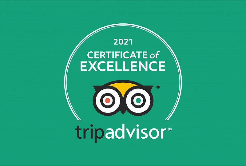 Certificate of Excellence